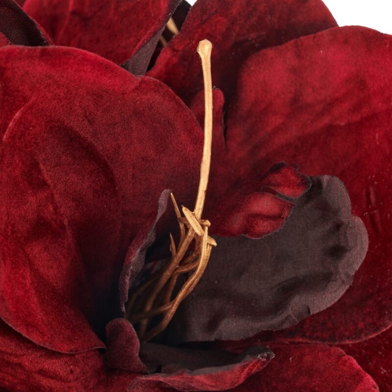 Amaryllis - rauður h:66cm - Image 3