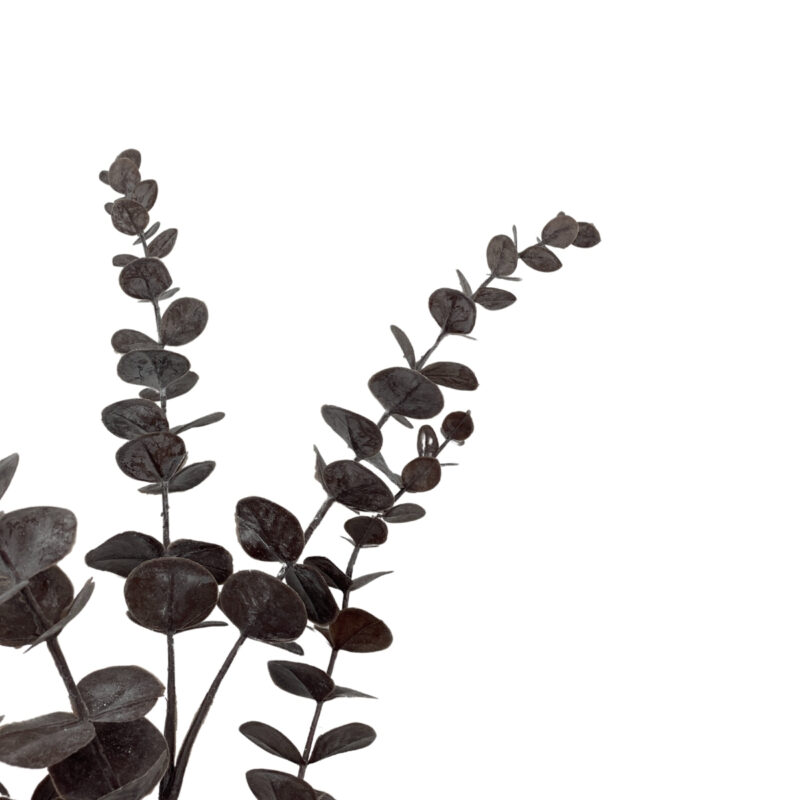 Eucalyptus grein - rauðbrún  H:70cm - Image 2