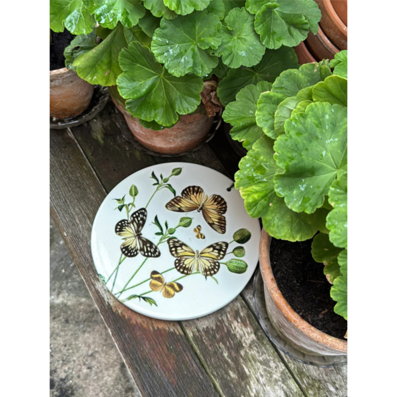Platti - Butterfly - Image 2