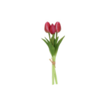 Túlípana búnt bleikir h:29cm