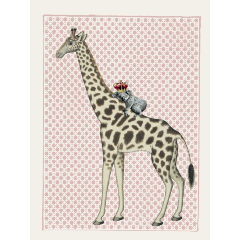 Mynd - Giraffe