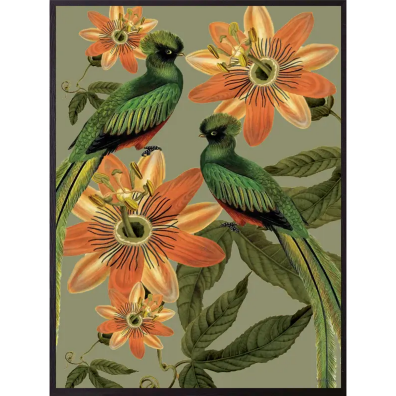 Mynd - Green Birds