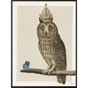 Mynd - King Owl, 30x40cm