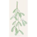 Servíettur - Mistletoe, 16stk