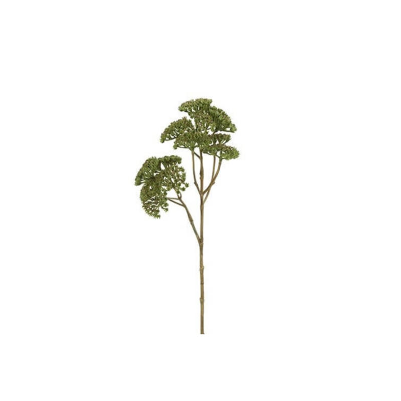 Vallhumall, grænn h:52cm