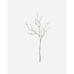 MAGNOLIA - Hvítt blóm