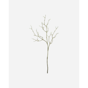 MAGNOLIA - Hvítt blóm