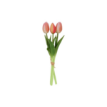 Túlípana búnt - peach h: 29cm