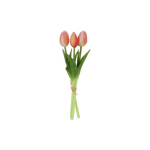 Túlípana búnt - peach h: 29cm