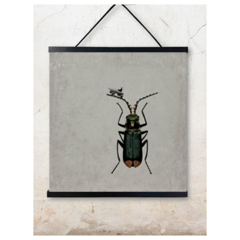 Myndir - BUG, 50x50cm - Image 2