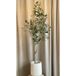 Olifutré í potti h:120cm