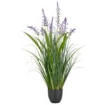 Salvia gra og lavender í potti h:93cm