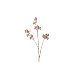 Eupatorium -beige, 81cm