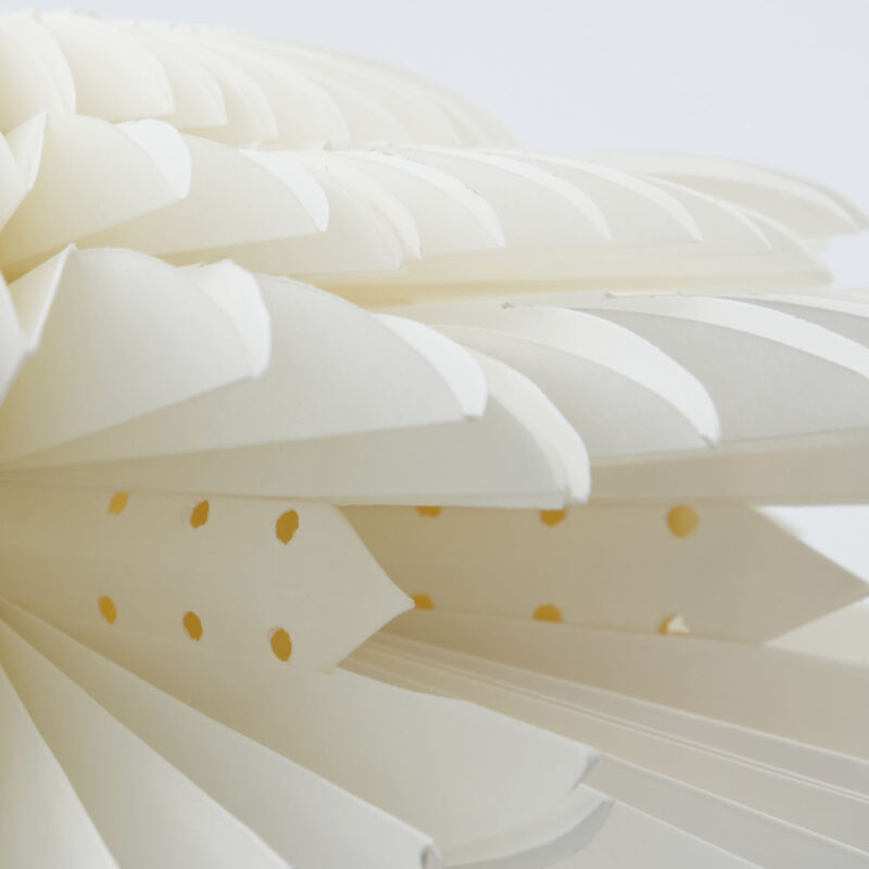LAYER - Pappastjarna, 30cm - Image 2