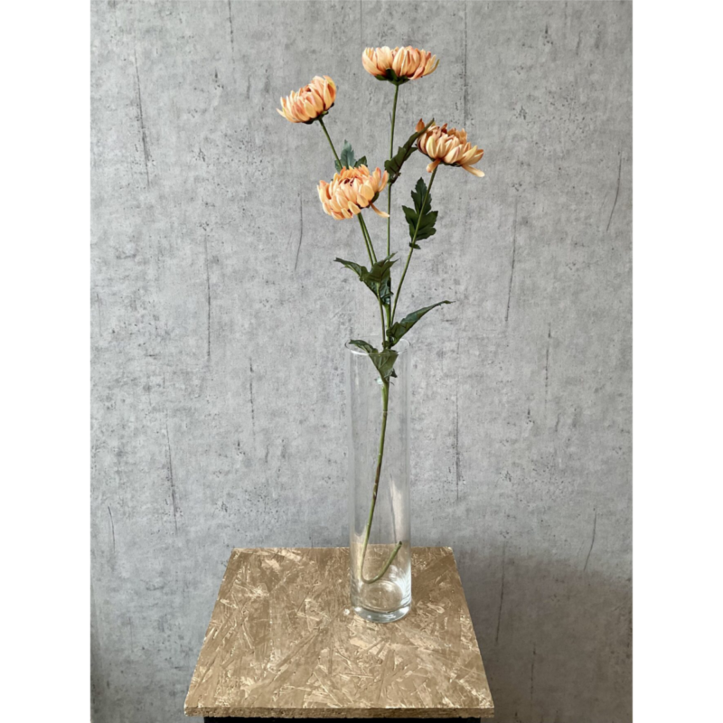 Krýsantemum - karmel h: 83cm - Image 2