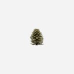 Korta borð haldari Pinus antique brass