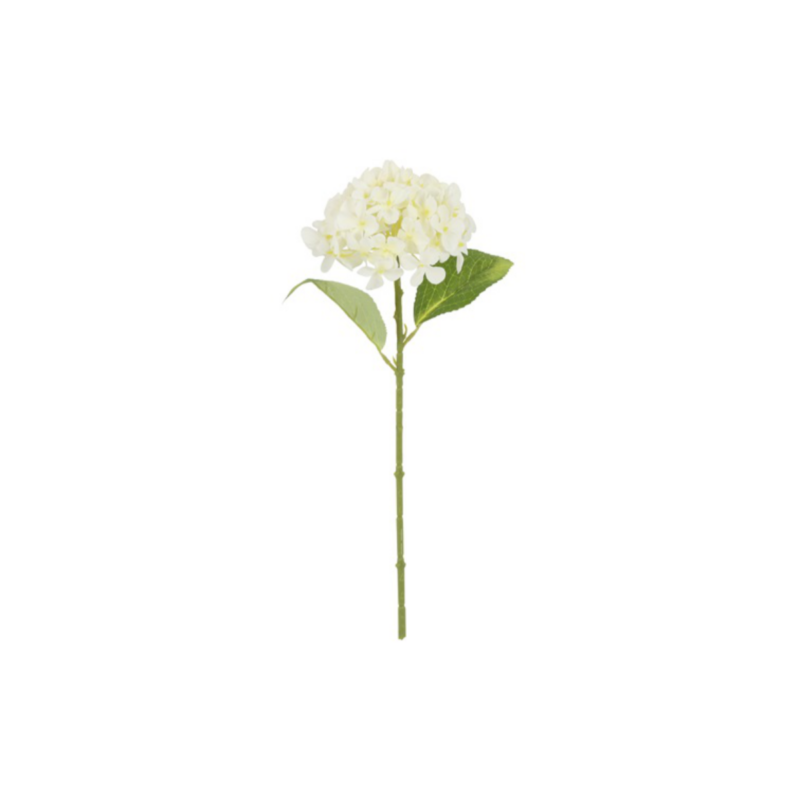 Hortensia - hvít, h: 40cm