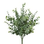 Eucalyptus búnt h: 35cm