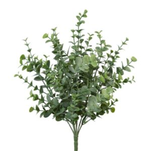 Eucalyptus búnt h: 35cm