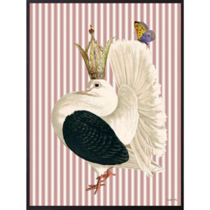 Mynd - Queen Dove, 30x40cm