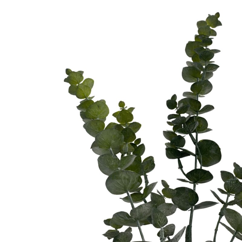 Eucalyptus - H: 90cm - Image 2