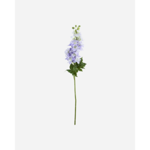 DELPHINIUM - blóm, purple