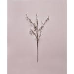Grein hvít ber h:97cm