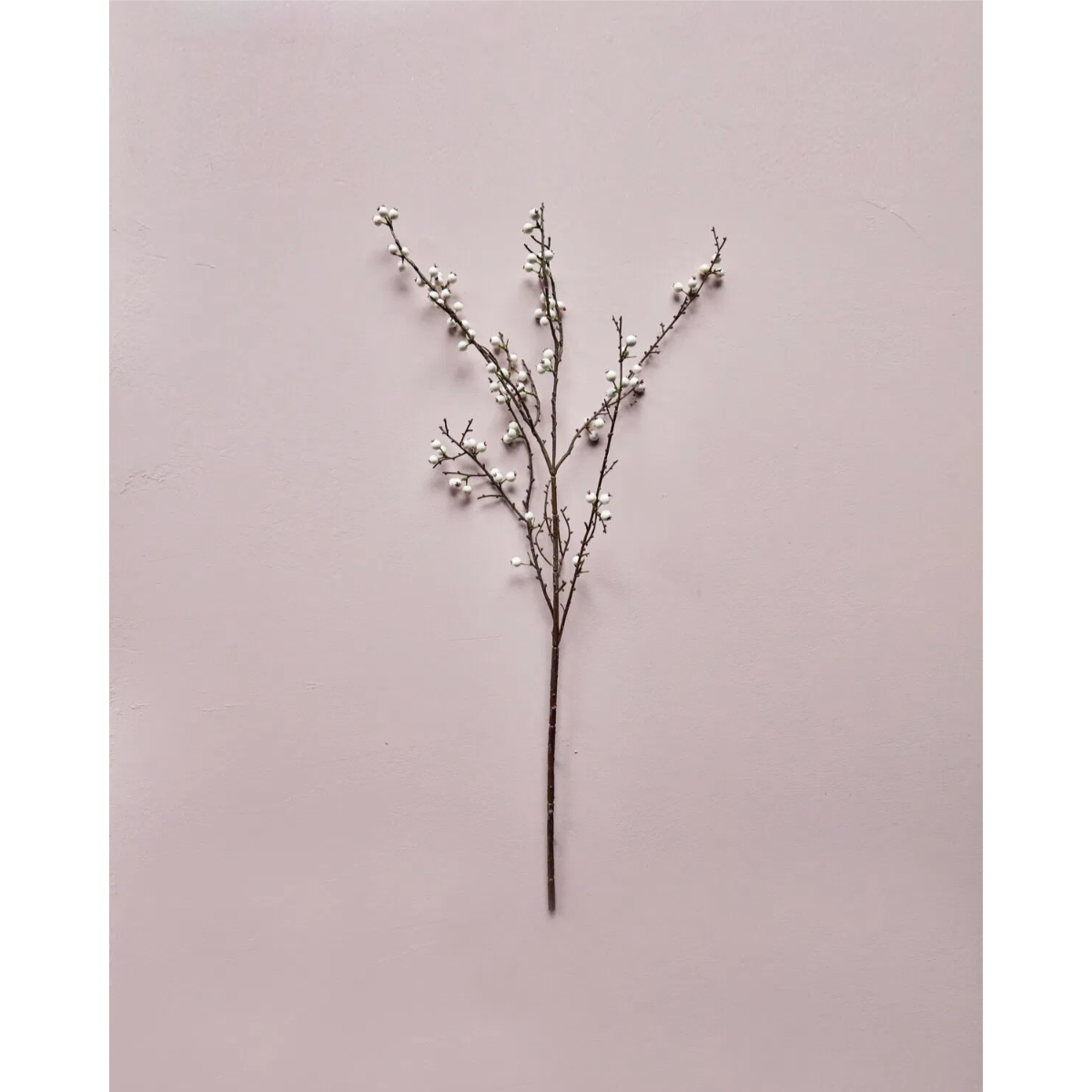 Grein hvít ber h:97cm