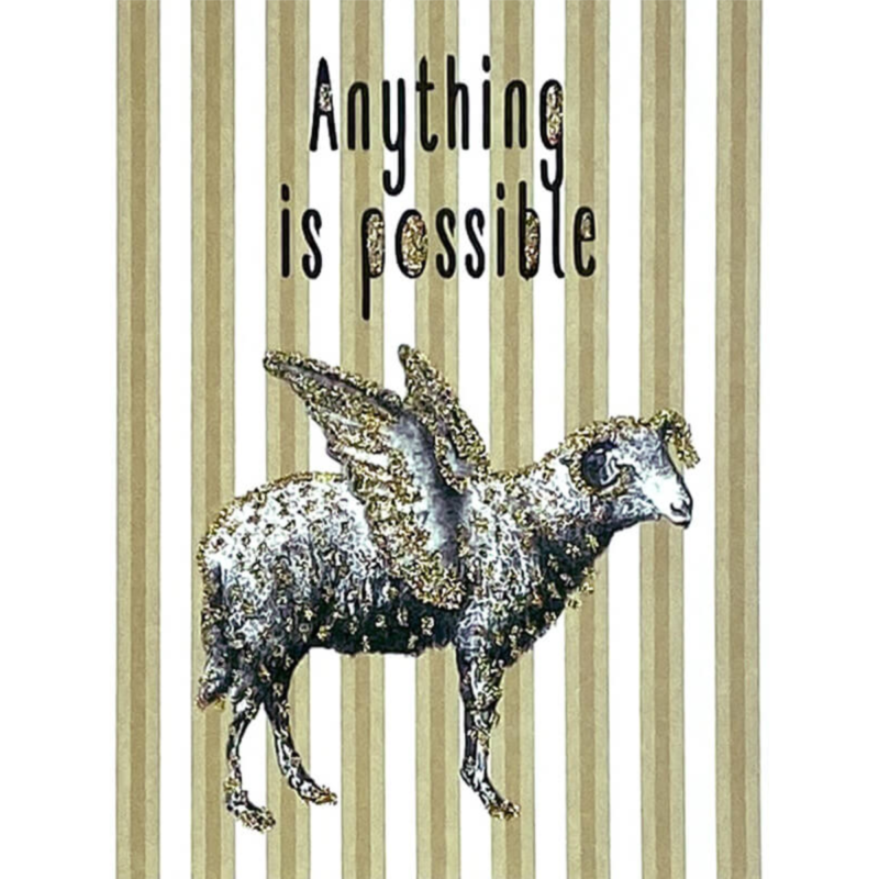 Kort - "Anything is possible"