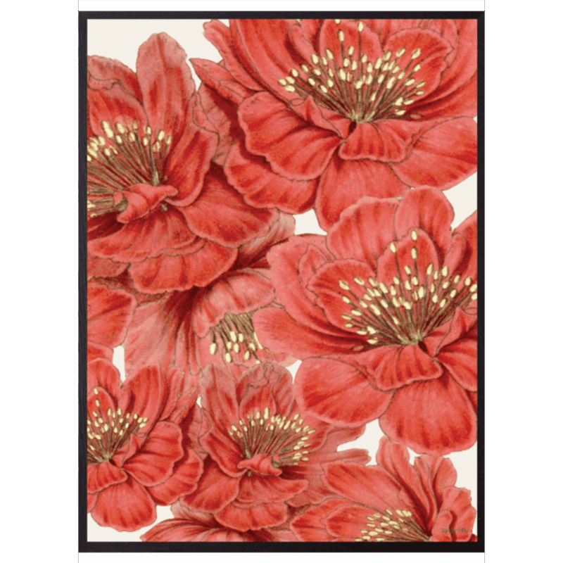 Mynd - Red Flower