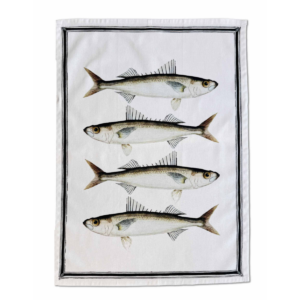 FISH - Viskustykki