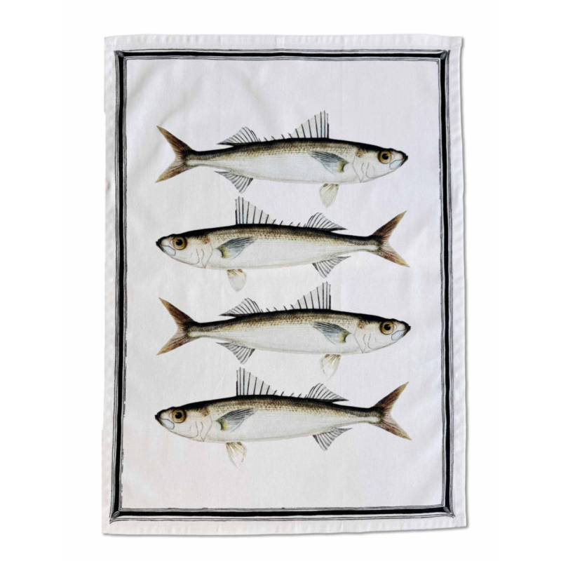 FISH - Viskustykki