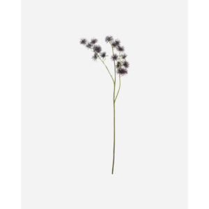 URCHIN SPRAY - blóm, burgundy