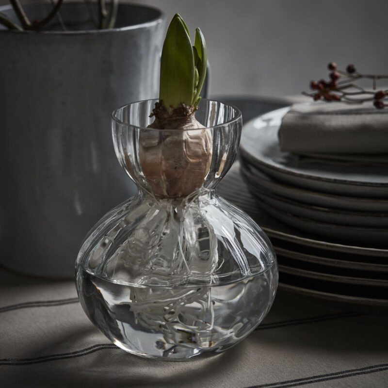 BUD - Vasi f/ hýasintur - Image 3