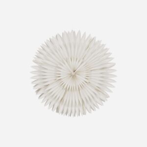 LAYER - Pappastjarna, 60cm