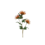 Prótea - Orange h: 71cm