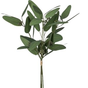Eucalyptus búnt h: 38cm