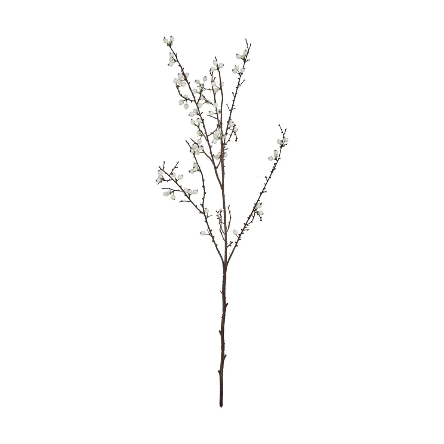Grein hvít ber h:97cm - Image 2