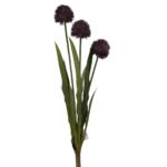ALLIUM - Fjólublátt, 60cm
