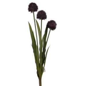 ALLIUM - Fjólublátt, 60cm