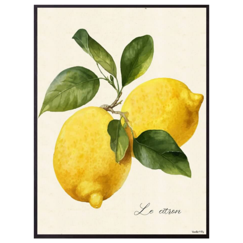 Mynd - Lemon 30x40cm