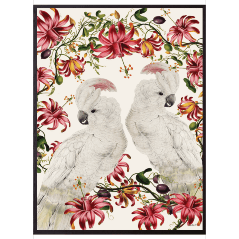 Mynd - Parakeet Birds