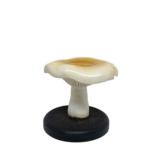 MATSUTAKE - Kertastjaki