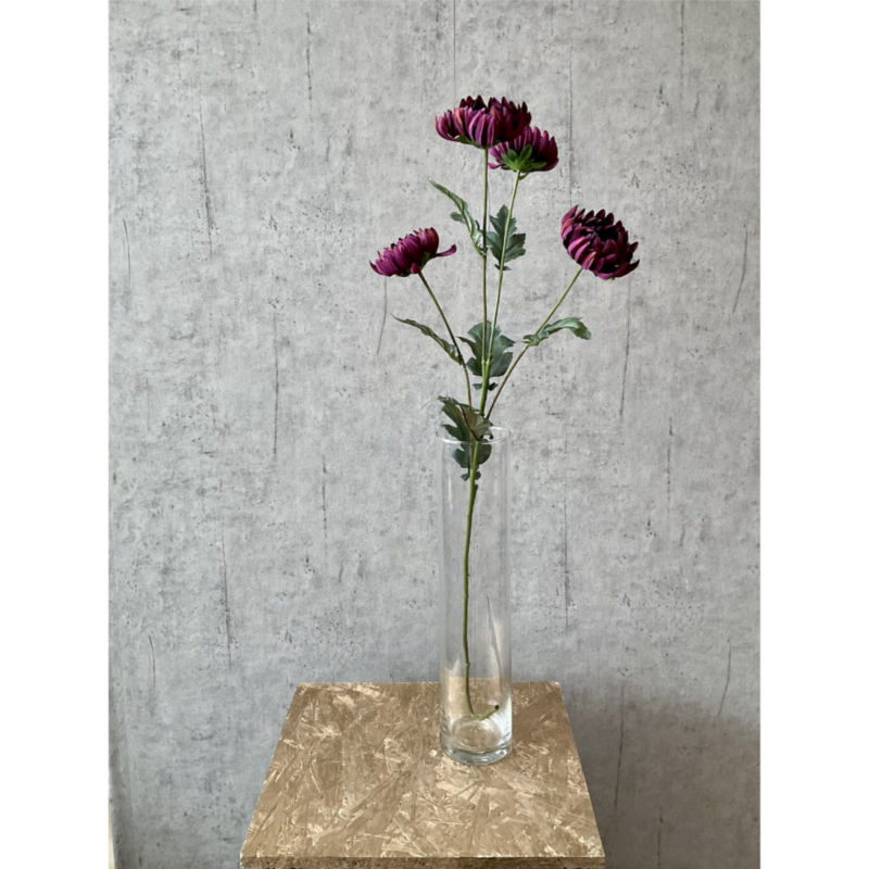 Krýsantemum - lilla h: 83cm - Image 2