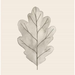 Servíettur - forest treasure