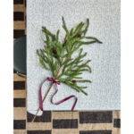 DECO - Grein með könglum, 82cm