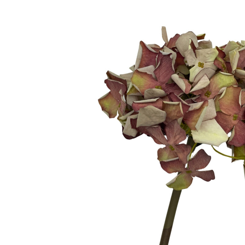 Hortensia, bleik h:62cm - Image 3