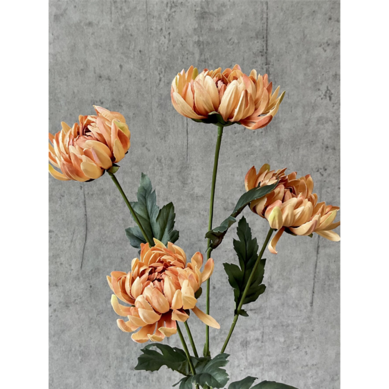 Krýsantemum - karmel h: 83cm - Image 3