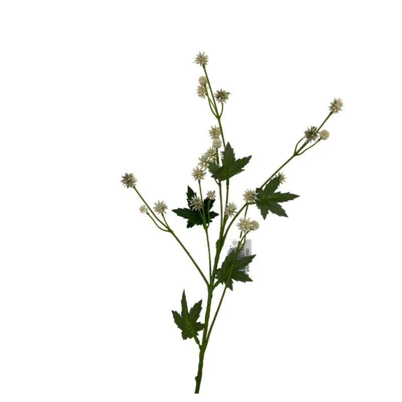 Tidsel - grænt/krem h:68cm