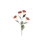 Krýsantemum - ljós lilla, h: 83cm